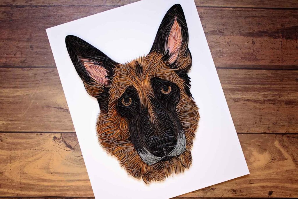 A Tribute to Charlie the GSD