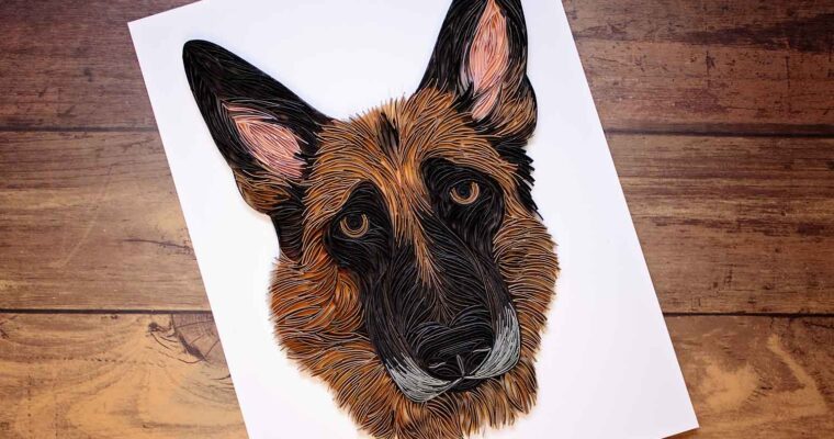 A Tribute to Charlie the GSD