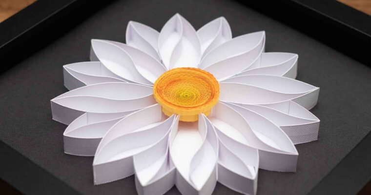 Quilled Paper Daisy on Black
