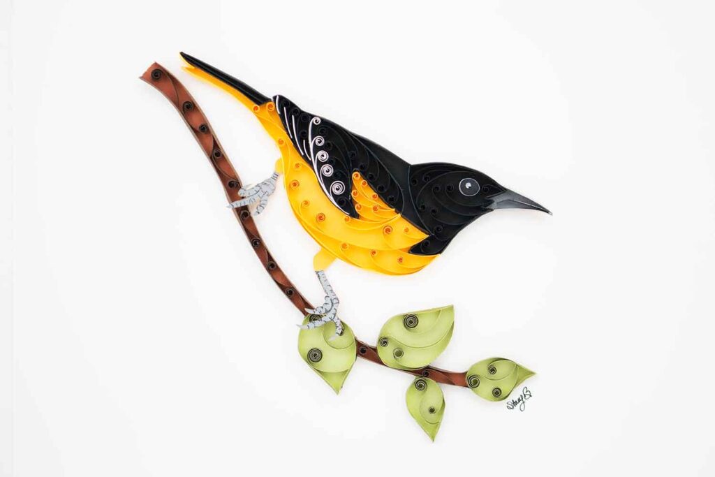 Quilled Baltimore Oriole